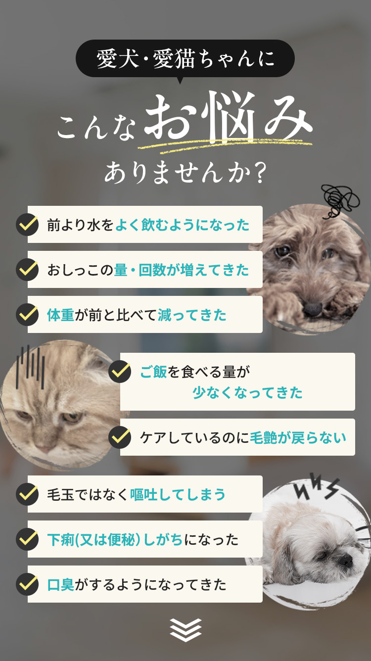 愛犬・愛猫ちゃんにこんなお悩みありませんか？